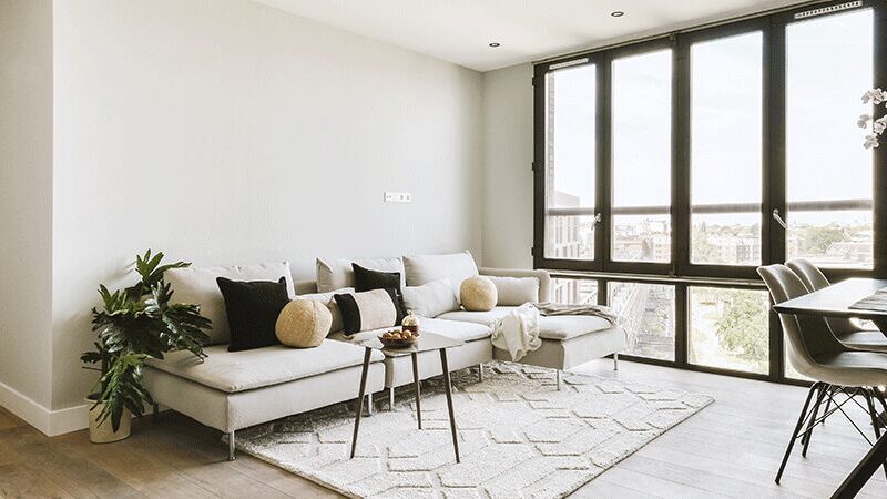 Student Housing vs. Off-Campus Rooms for Rent